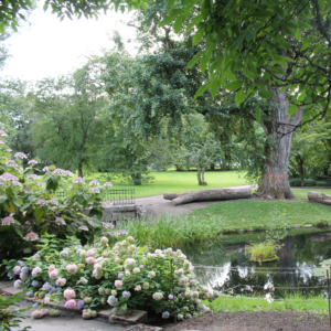 Botanisk hage i Oslo